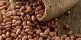 قیمت لوبیا چیتی از گوشت مرغ گران‌تر شد