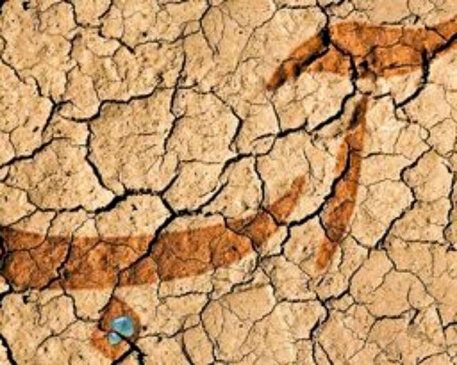 مدیرعامل آب منطقه‌ای استان: راهکاری جز اجرای سند سازگاری با کم‌آبی در یزد نداریم