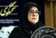 سخنگوی دولت: تلاش می‌کنیم هم گرانی و هم گران‌فروشی کنترل شود