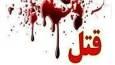 خرید جهیزیه عروس خون به پا کرد