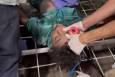 فیلم/ شهادت دختربچه فلسطینی در غزه
