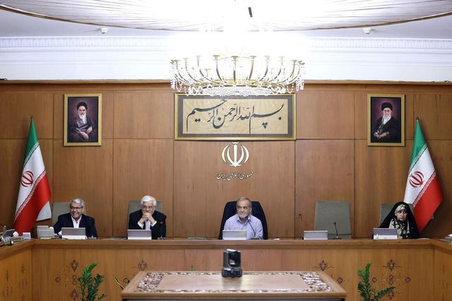 گزارش وزیر نفت از نشست جی‌ئی‌سی‌اف