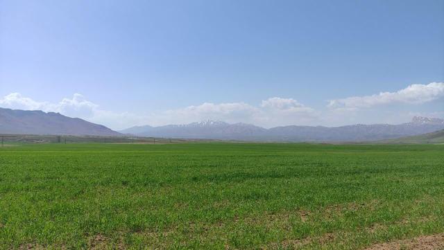 افزایش سیستم‌های نوین آبیاری در چهارمحال و بختیاری برای مقابله با تنش آبی ضروری است