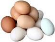 آیا تخم مرغ باعث بالا رفتن کلسترول خون می‌شود؟