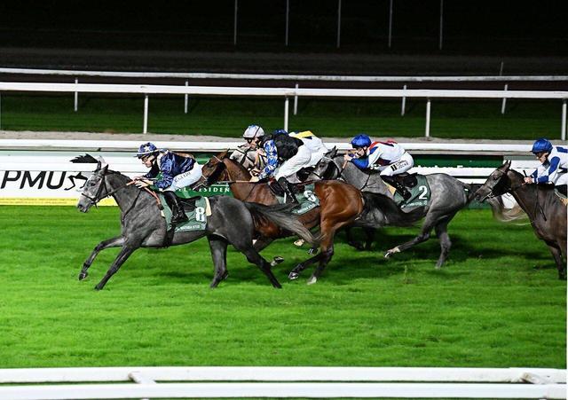 شبِ تاریخی اسب‌دوانی ایران در فرانسه؛ پیست تولوز خوش یُمن بود 