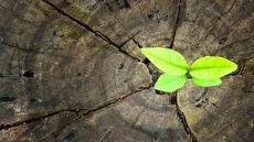 یکی از بهترین دیالوگ‌های سریال‌های ایرانی، این دیالوگ در سریال «مسافران» بود (فیلم)