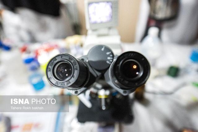 مهد عرفان ایران میزبان علم‌دوستان