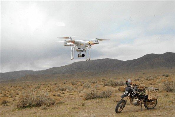 اجرای طرح سراسری سرشماری از گونه‌های شاخص حیات‌ وحش آغاز شد