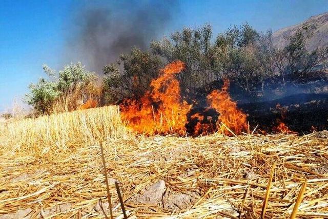 آسمان بابل در دودِ کاه و کلش