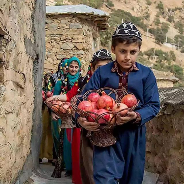 «جشن انار» آئینی رنگین در پائیز