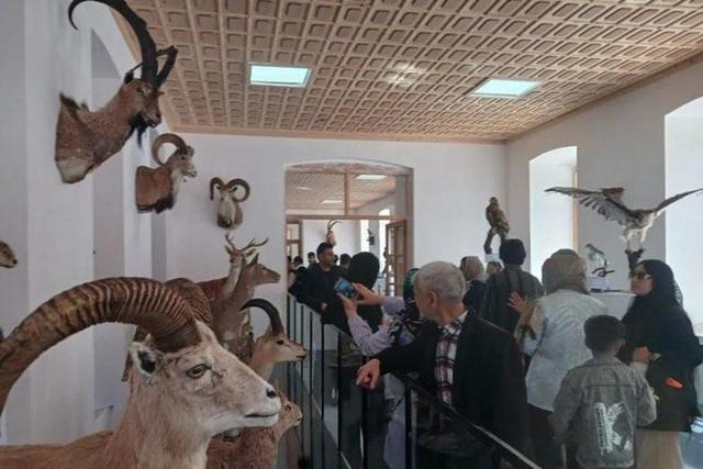 پایان بازسازی موزه حیات وحش البرز با ۲۵۰ گونه جانوری