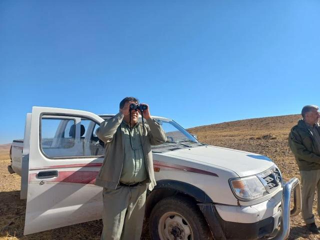 فیلم | کمبود آب تهدیدی برای آهوان زنجان