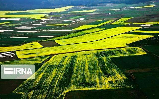 تغییر کاربری ۶۱۰۰ هکتار از اراضی ملی به کشاورزی در بویین میاندشت