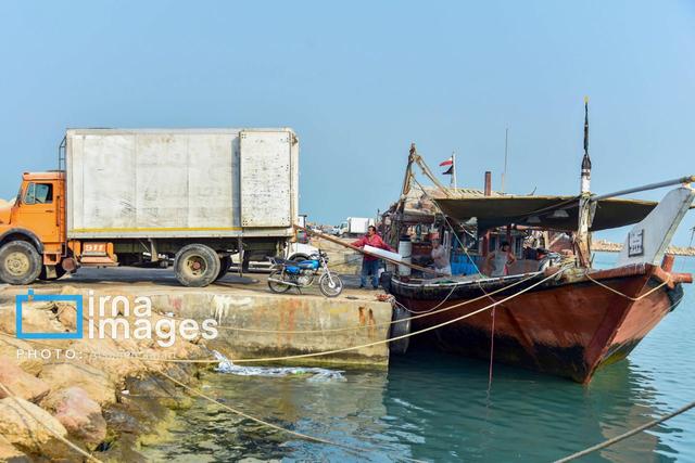 پیگیری تامین اعتبار تکمیل اسکله دلوار / آغاز تعمیر دیواره موج شکن "کری"