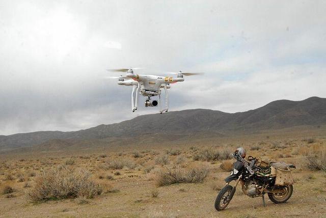 اجرای طرح سراسری سرشماری از گونه‌های شاخص حیات‌وحش آغاز شد