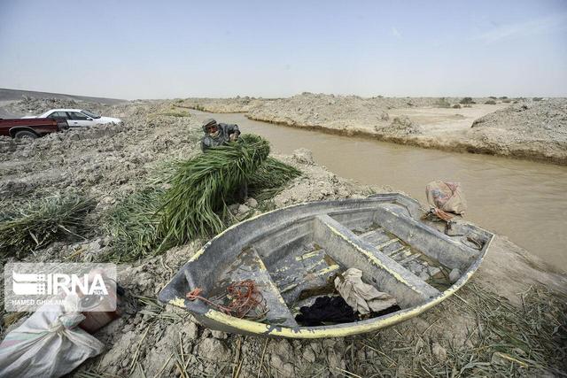 رایزنی ایران و افغانستان برای تامین حقابه تالاب هامون