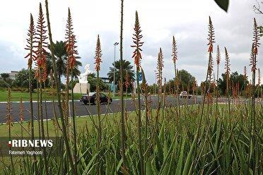 مه رقیق صبحگاهی و دریای آرام در برخی از سواحل هرمزگان، ۸ آبان