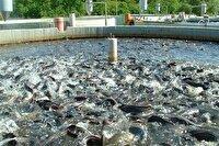 راه اندازی رشته شیلات در هنرستان کشاورزی شوشتر