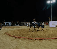 کشتی ساحلی بازی های آسیایی جوانان؛ صعود فتوحی، خدایی و دومیر کلایی به پیکار پایانی