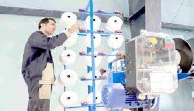 طرح ملی طاها؛ پیوند تولید خرد با بازار پایدار