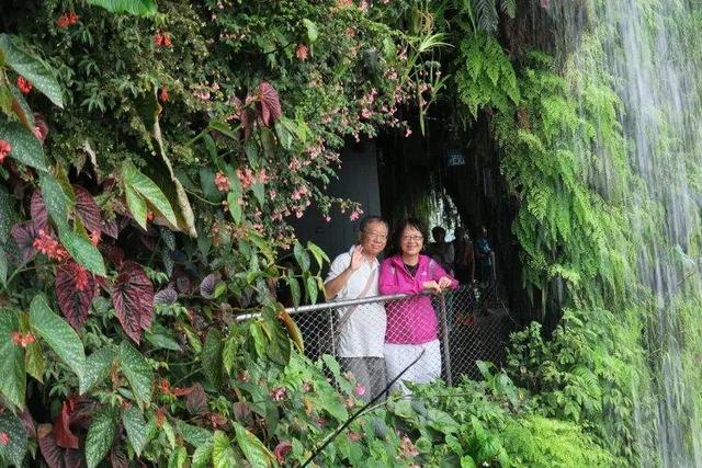 وایت یک زندگی گمشده در دوربینی که دوباره فروخته شد