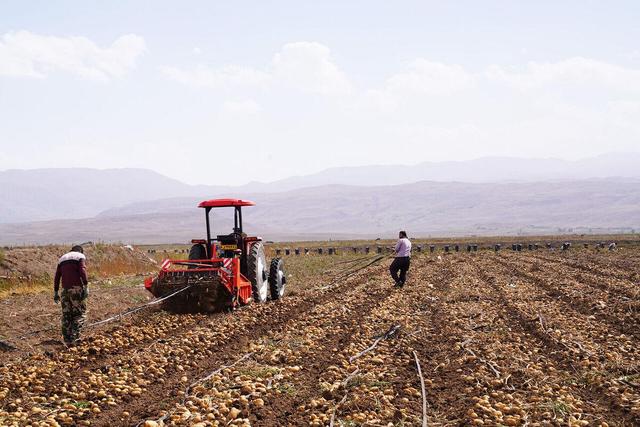 بیش از 24 هزار هکتار از اراضی کشاورزی گناباد تعیین تکلیف شدند