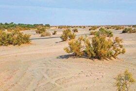 کانون‌های بیابانی خراسان رضوی یکی از منشأ‌های اصلی آلودگی هوا | مهار قطره‌چکانی بیابان‌زدایی