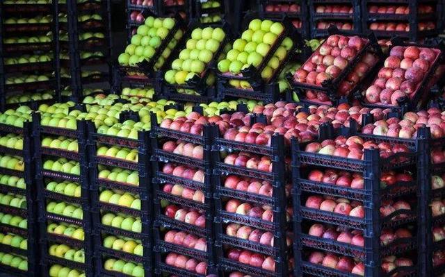 قیمت میوه و تره بار ۸ آبان ۱۴۰۴