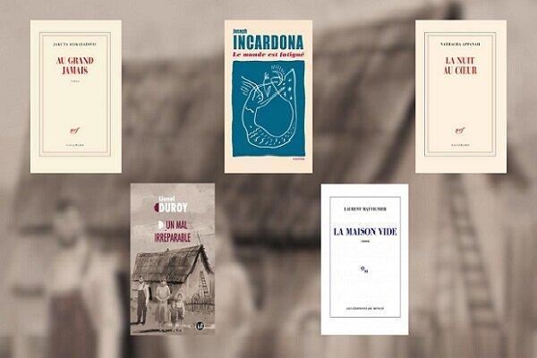 فینالیست‌های جایزه فمینا ۲۰۲۵ شناخته شدند؛ الیف شافاک در فهرست