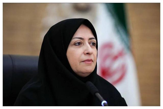 انصاری: مدیریت کانون‌های گرد و غباری خارجی در دستور کار دولت است