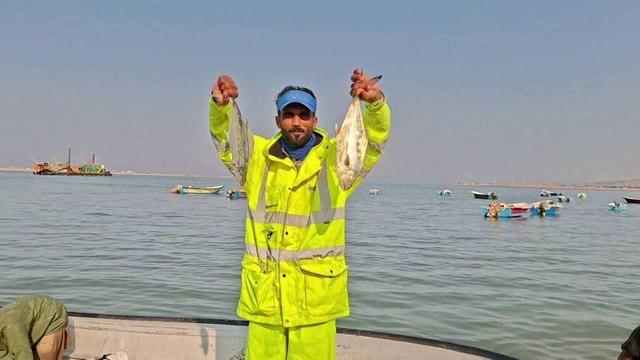 صیادان چابهار روزانه تا ۱۰ تُن ماهی تازه به بازار عرضه می‌کنند