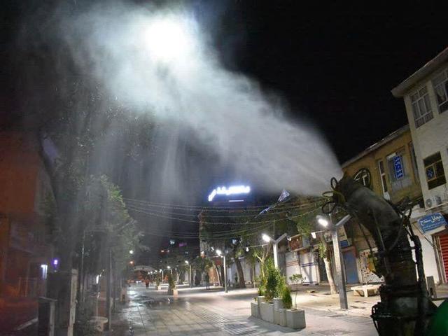 عملیات سم‌پاشی و کود دهی فضای سبز شهر قشم آغاز شد+فیلم