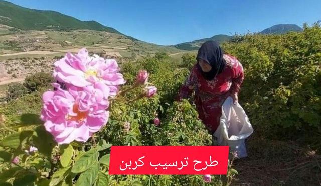 فیلم| ترسیب کربن؛ راهکار هوشمندانه مقابله با تغییرات اقلیمی در ۱۰ استان