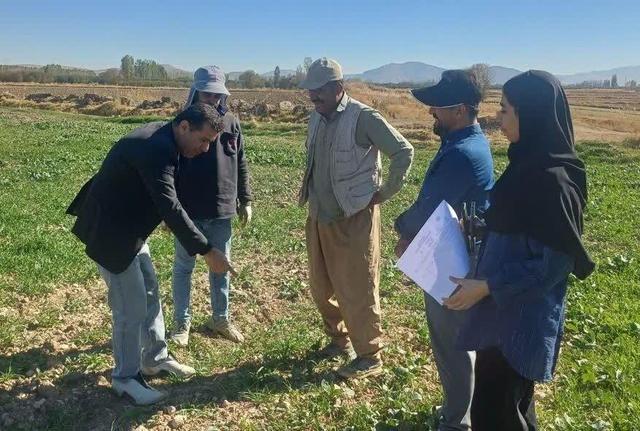 کشاورزان آذربایجان‌غربی در مسیر صرفه‌جویی آب؛ ۸ هزار نفر آموزش دیدند
