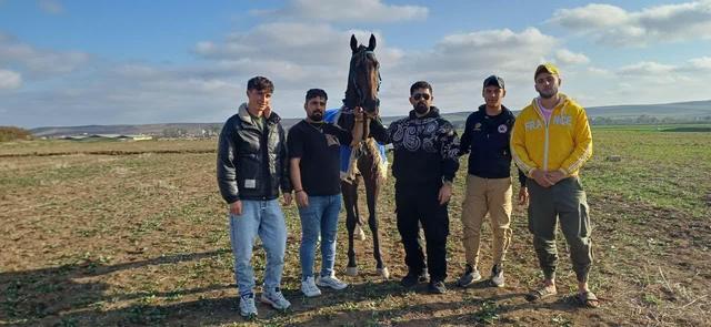 آیین بزرگداشت پیشکسوتان سوارکاری در بیله‌سوار برگزار شد