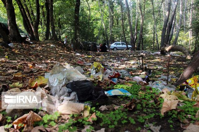 پاکسازی کوه زباله در دل جنگل‌ هزار جریب نکا+ فیلم