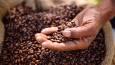 Major coffee producer’s exports surge