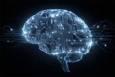 مغز انسان به‌طور طبیعی برای یادگیری برنامه‌نویسی آماده است
