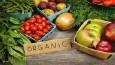 گردش مالی محصولات ارگانیک به ۵۰۰ میلیارد دلار می رسد