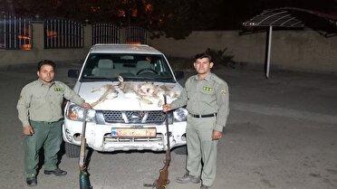 دستگیری شکارچیان غیرمجاز در مراغه