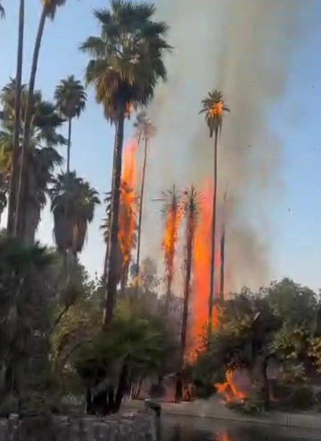 ماجرای آتش سوزی در باغ گردشگری چشمه بلقیس چرام