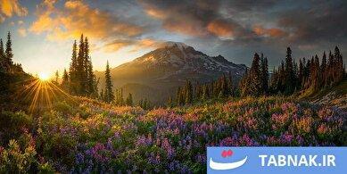 عکس: برندگان مسابقه عکاسی بین‌المللی Pano یا پانوراما ۲۰۲۵