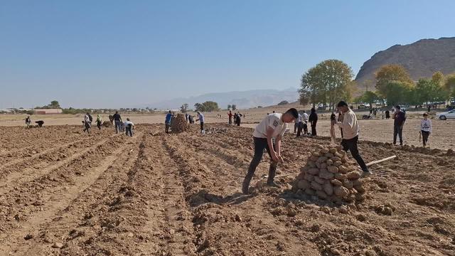 برگزاری جشنواره کلوخ‌پزی در محلات