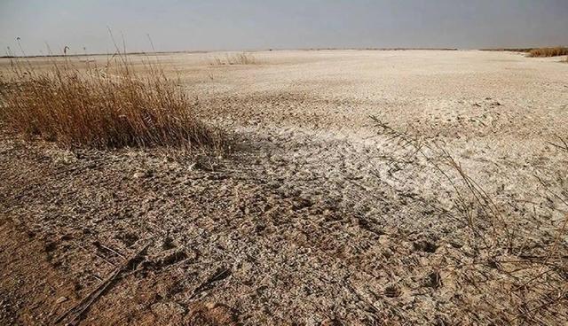 طرح ملی برای احیای تالاب‌های قزوین و البرز کلید خورد