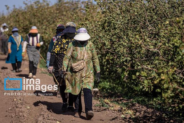 فیلم | همه با هم برای پیشرفت و آبادانی مازندران