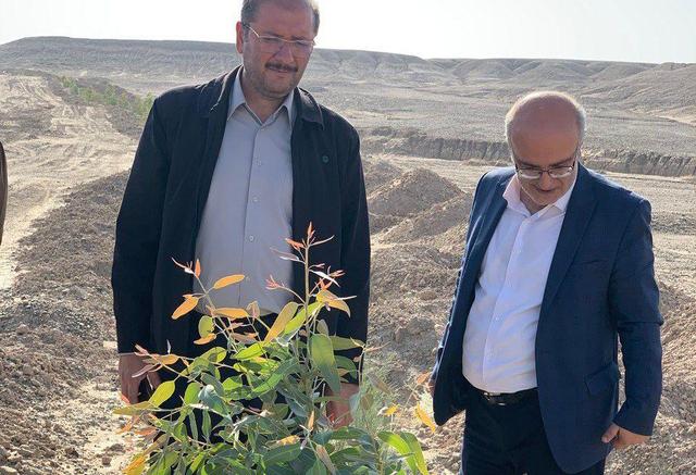 توسعه پوشش گیاهی در سیستان باید با نگاه علمی و بهره‌گیری از ظرفیت های بومی اجرا شود + فیلم