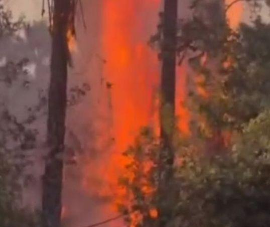 آتش سوزی در باغ تاریخی چشمه‌بلقیس چرام کهگیلویه و بویراحمد + فیلم