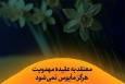 فیلم | معتقد به عقیده مهدویت هرگز مأیوس نمی‌شود