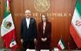 استقبال رئیس مجلس سنای مکزیک از تقویت همکاری‌های پارلمانی با ایران 