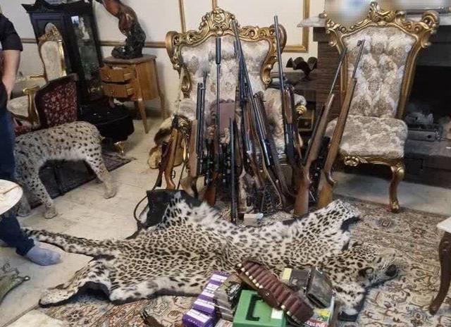 فرهنگ‌سازی و آموزش عمومی نقش بسزایی در کاهش شکار غیرمجاز دارد